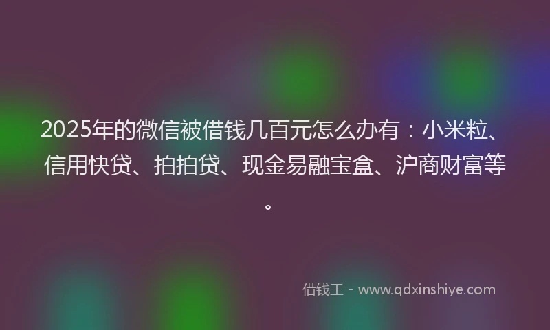 2025年的微信被借钱几百元怎么办有：小米粒、信用快贷、拍拍贷、现金易融宝盒、沪商财富等。