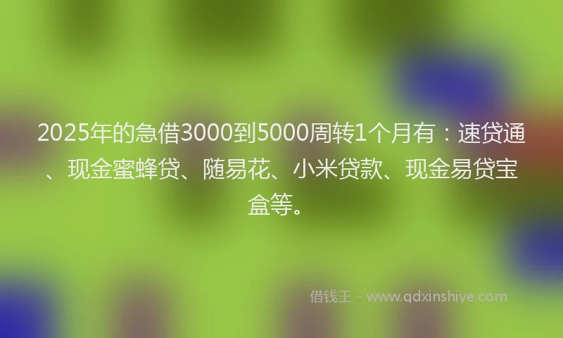 2025年的急借3000到5000周转1个月有：速贷通、现金蜜蜂贷、随易花、小米贷款、现金易贷宝盒等。