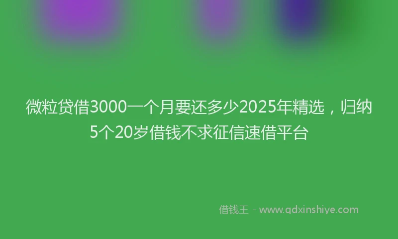 微粒贷借3000一个月要还多少2025年精选，归纳5个20岁借钱不求征信速借平台