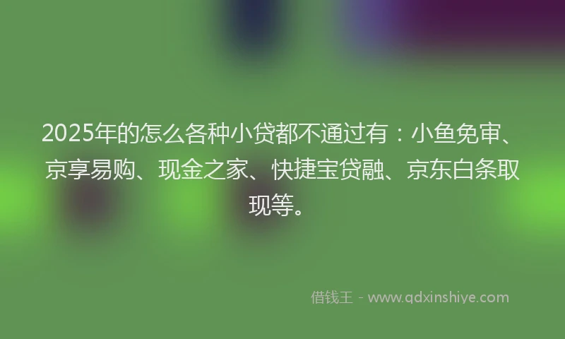 2025年的怎么各种小贷都不通过有：小鱼免审、京享易购、现金之家、快捷宝贷融、京东白条取现等。