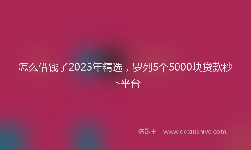 怎么借钱了2025年精选，罗列5个5000块贷款秒下平台