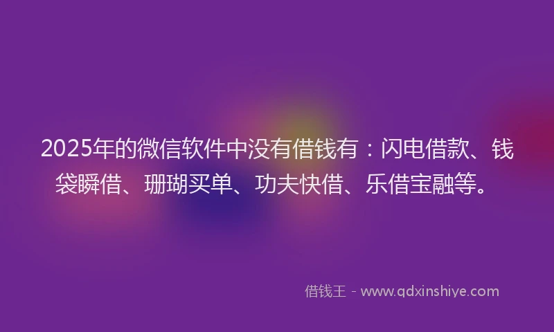 2025年的微信软件中没有借钱有：闪电借款、钱袋瞬借、珊瑚买单、功夫快借、乐借宝融等。