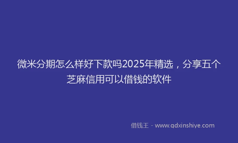 微米分期怎么样好下款吗2025年精选，分享五个芝麻信用可以借钱的软件