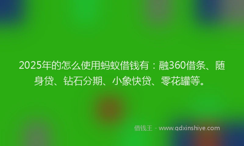 2025年的怎么使用蚂蚁借钱有：融360借条、随身贷、钻石分期、小象快贷、零花罐等。