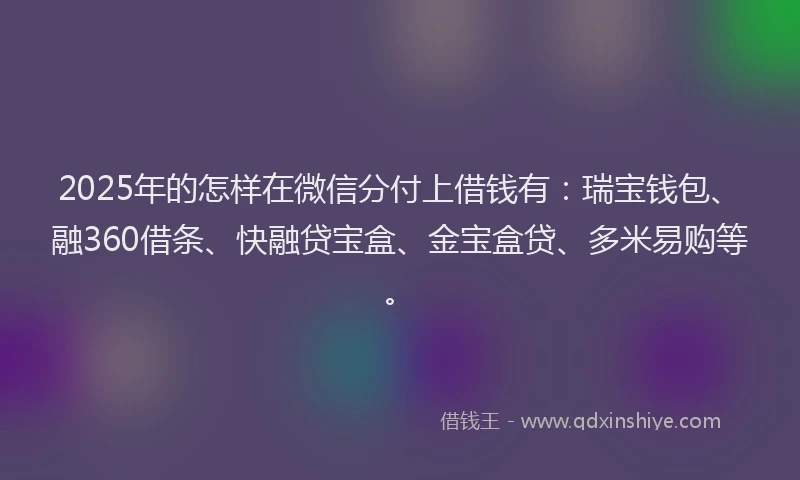 2025年的怎样在微信分付上借钱有：瑞宝钱包、融360借条、快融贷宝盒、金宝盒贷、多米易购等。