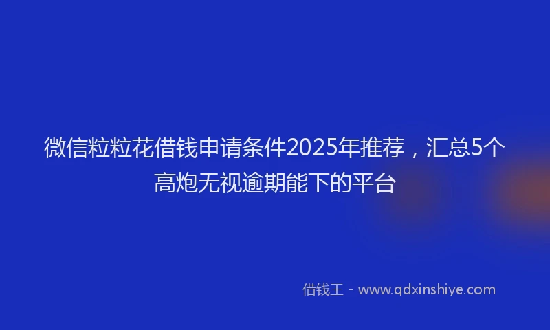 微信粒粒花借钱申请条件2025年推荐，汇总5个高炮无视逾期能下的平台
