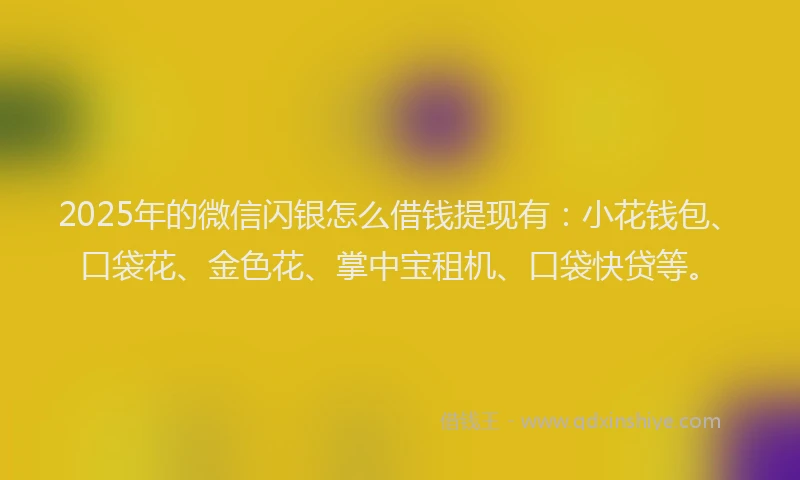 2025年的微信闪银怎么借钱提现有：小花钱包、口袋花、金色花、掌中宝租机、口袋快贷等。