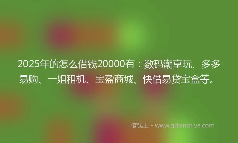 2025年的怎么借钱20000有：数码潮享玩、多多易购、一姐租机、宝盈商城、快借易贷宝盒等。
