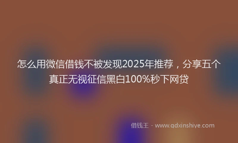 怎么用微信借钱不被发现2025年推荐，分享五个真正无视征信黑白100%秒下网贷