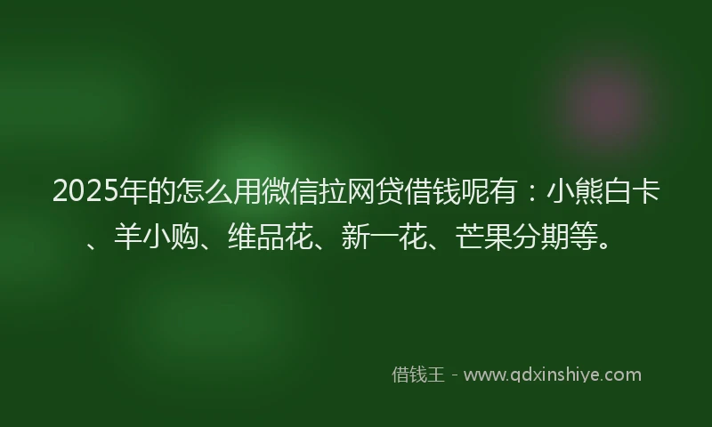 2025年的怎么用微信拉网贷借钱呢有：小熊白卡、羊小购、维品花、新一花、芒果分期等。