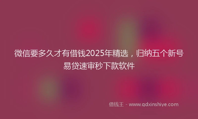 微信要多久才有借钱2025年精选，归纳五个新号易贷速审秒下款软件