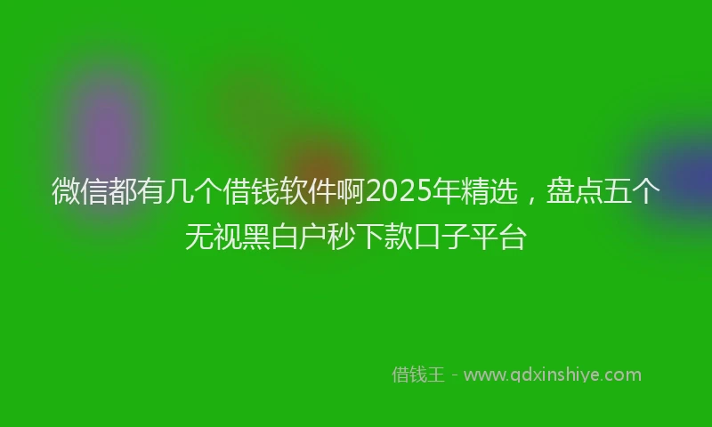 微信都有几个借钱软件啊2025年精选，盘点五个无视黑白户秒下款口子平台