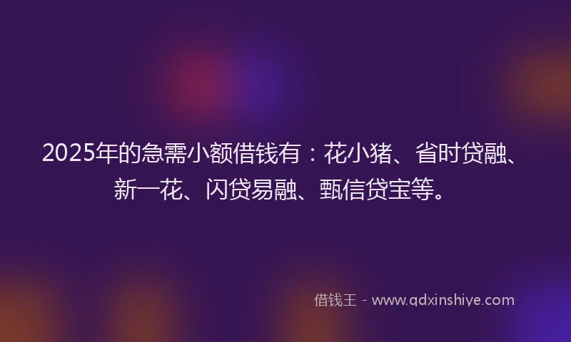 2025年的急需小额借钱有：花小猪、省时贷融、新一花、闪贷易融、甄信贷宝等。