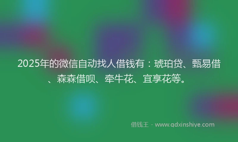 2025年的微信自动找人借钱有：琥珀贷、甄易借、森森借呗、牵牛花、宜享花等。