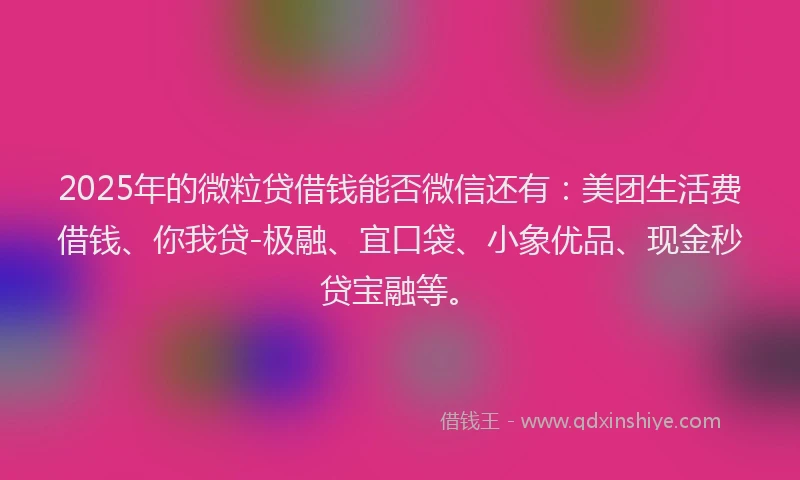 2025年的微粒贷借钱能否微信还有：美团生活费借钱、你我贷-极融、宜口袋、小象优品、现金秒贷宝融等。