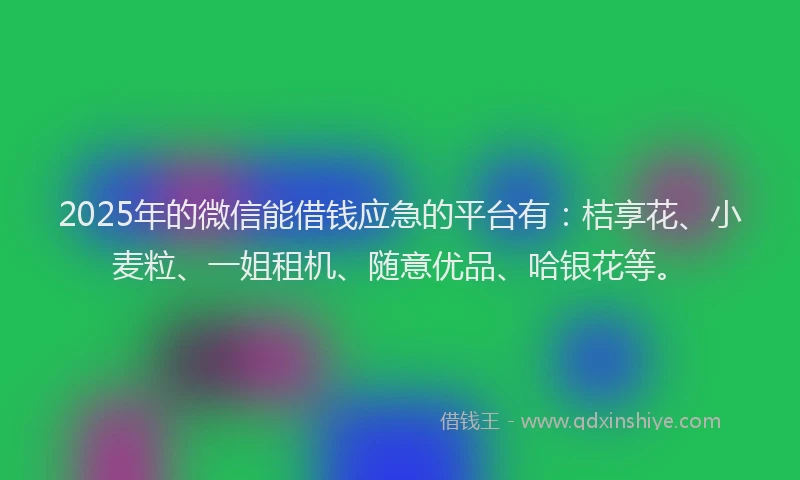 2025年的微信能借钱应急的平台有：桔享花、小麦粒、一姐租机、随意优品、哈银花等。