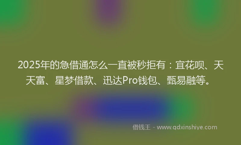 2025年的急借通怎么一直被秒拒有：宜花呗、天天富、星梦借款、迅达Pro钱包、甄易融等。