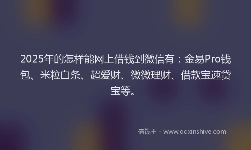 2025年的怎样能网上借钱到微信有：金易Pro钱包、米粒白条、超爱财、微微理财、借款宝速贷宝等。
