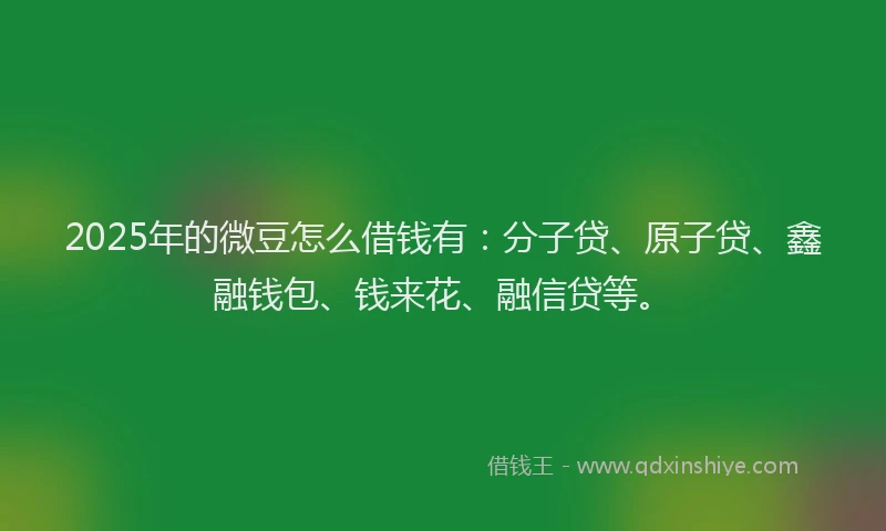 2025年的微豆怎么借钱有：分子贷、原子贷、鑫融钱包、钱来花、融信贷等。