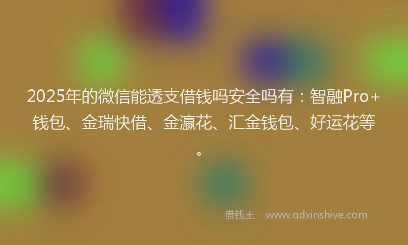 2025年的微信能透支借钱吗安全吗有：智融Pro+钱包、金瑞快借、金瀛花、汇金钱包、好运花等。