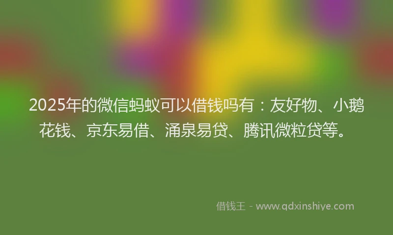 2025年的微信蚂蚁可以借钱吗有：友好物、小鹅花钱、京东易借、涌泉易贷、腾讯微粒贷等。