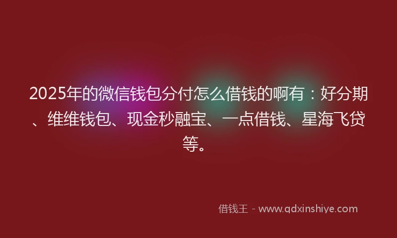 2025年的微信钱包分付怎么借钱的啊有：好分期、维维钱包、现金秒融宝、一点借钱、星海飞贷等。
