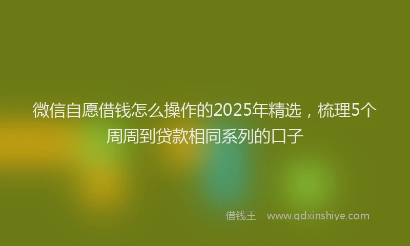 微信自愿借钱怎么操作的2025年精选，梳理5个周周到贷款相同系列的口子