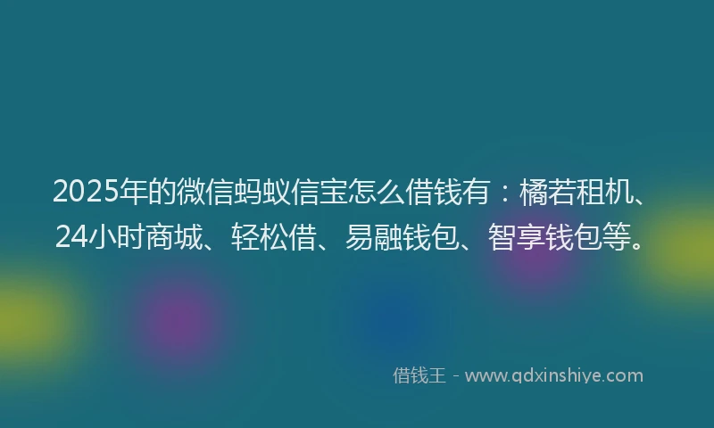 2025年的微信蚂蚁信宝怎么借钱有：橘若租机、24小时商城、轻松借、易融钱包、智享钱包等。