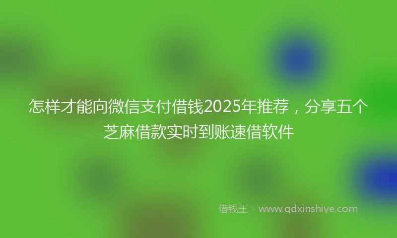 怎样才能向微信支付借钱2025年推荐，分享五个芝麻借款实时到账速借软件