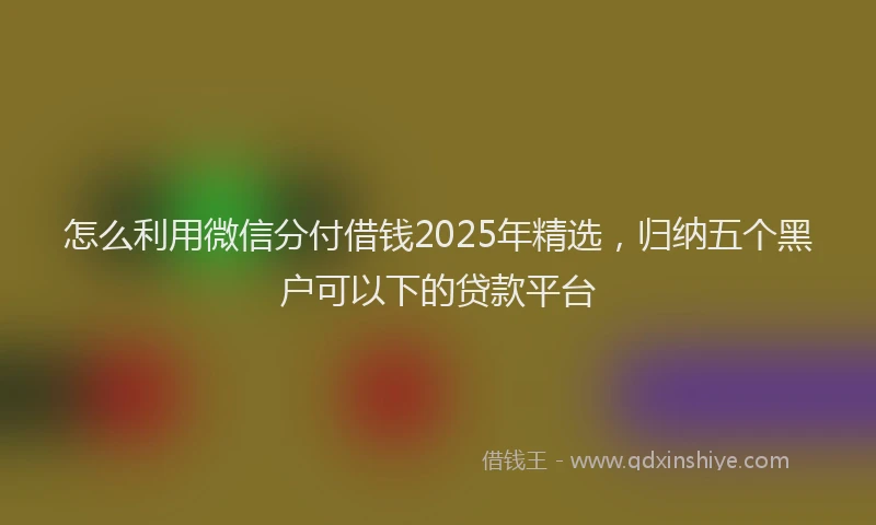 怎么利用微信分付借钱2025年精选，归纳五个黑户可以下的贷款平台