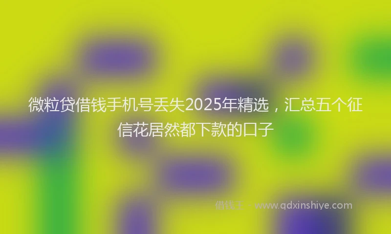 微粒贷借钱手机号丢失2025年精选，汇总五个征信花居然都下款的口子