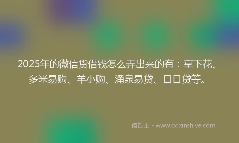 2025年的微信货借钱怎么弄出来的有：享下花、多米易购、羊小购、涌泉易贷、日日贷等。