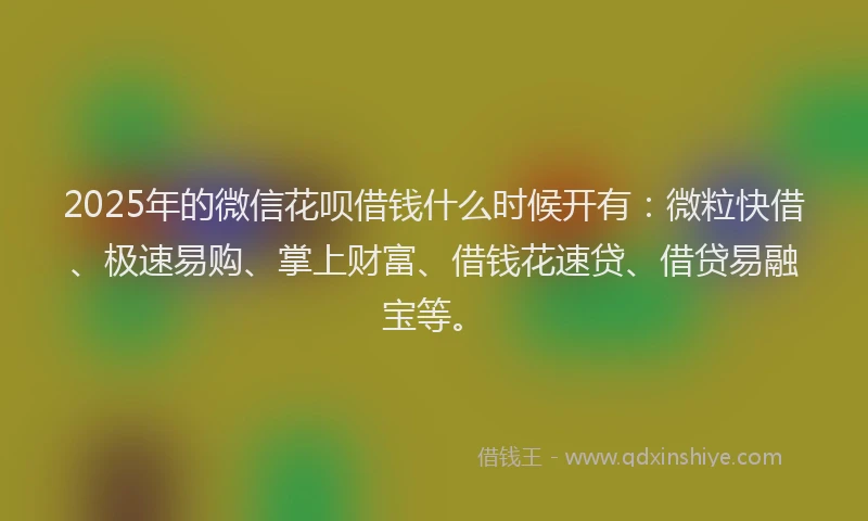 2025年的微信花呗借钱什么时候开有：微粒快借、极速易购、掌上财富、借钱花速贷、借贷易融宝等。