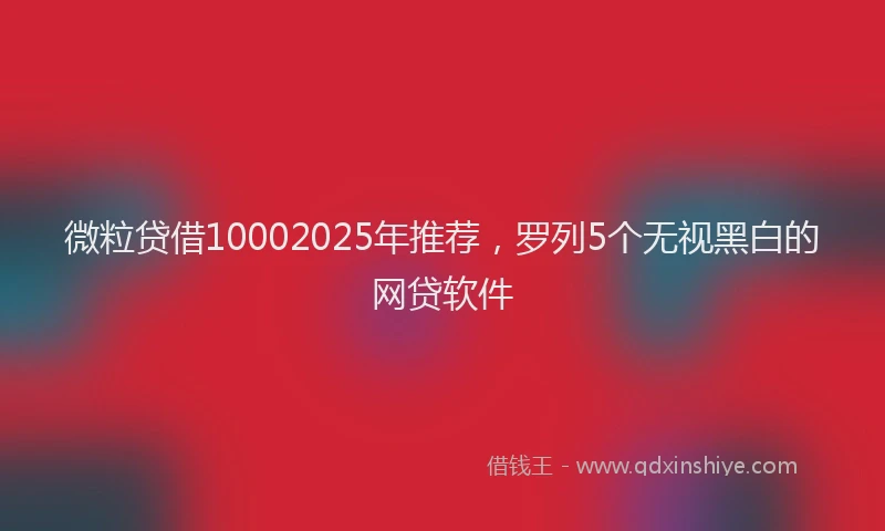 微粒贷借10002025年推荐，罗列5个无视黑白的网贷软件