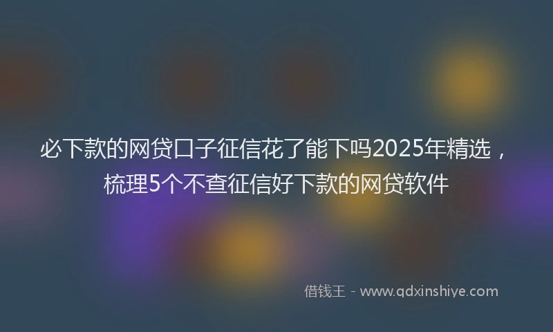 必下款的网贷口子征信花了能下吗2025年精选，梳理5个不查征信好下款的网贷软件