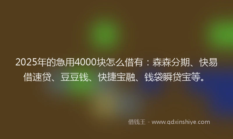 2025年的急用4000块怎么借有：森森分期、快易借速贷、豆豆钱、快捷宝融、钱袋瞬贷宝等。