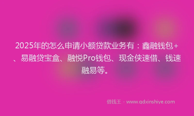 2025年的怎么申请小额贷款业务有：鑫融钱包+、易融贷宝盒、融悦Pro钱包、现金侠速借、钱速融易等。