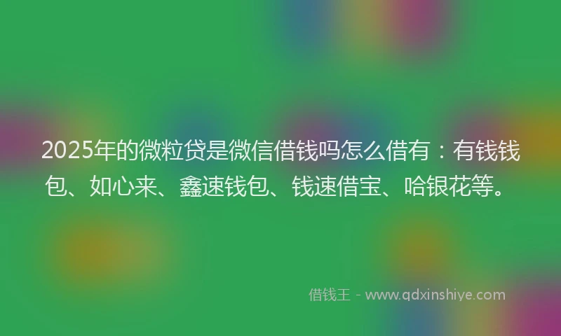 2025年的微粒贷是微信借钱吗怎么借有：有钱钱包、如心来、鑫速钱包、钱速借宝、哈银花等。