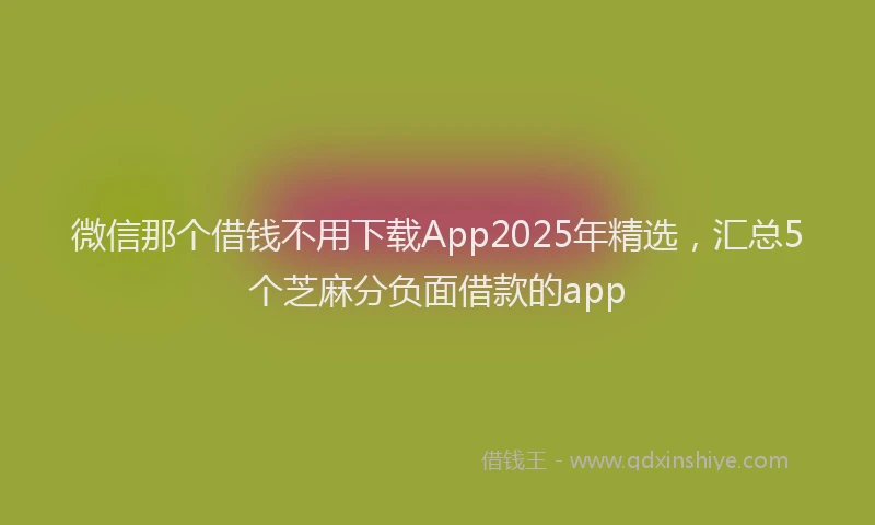 微信那个借钱不用下载App2025年精选，汇总5个芝麻分负面借款的app