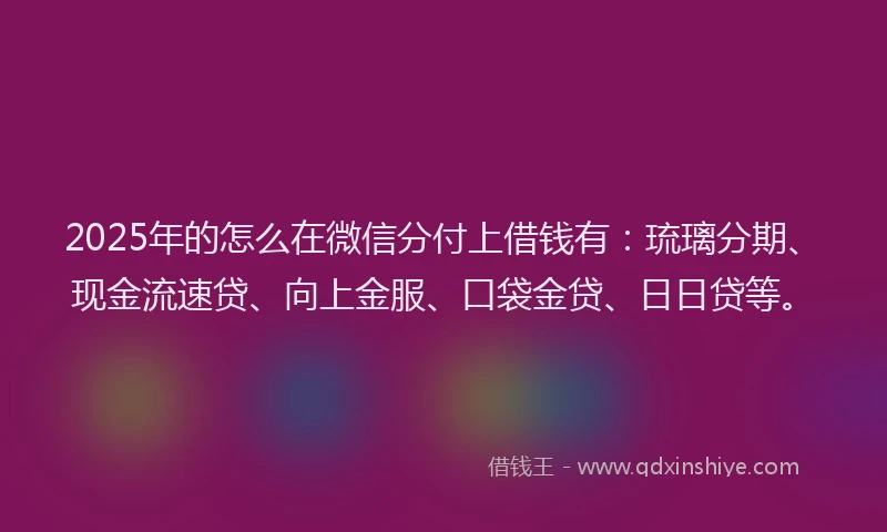 2025年的怎么在微信分付上借钱有：琉璃分期、现金流速贷、向上金服、口袋金贷、日日贷等。