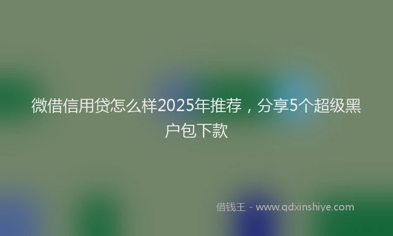 微借信用贷怎么样2025年推荐，分享5个超级黑户包下款