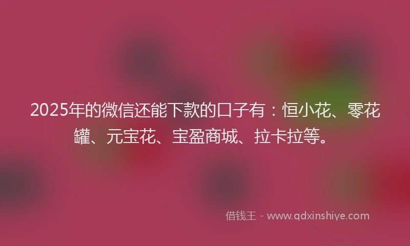 2025年的微信还能下款的口子有：恒小花、零花罐、元宝花、宝盈商城、拉卡拉等。