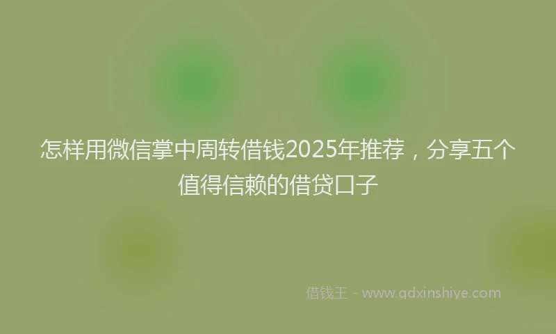 怎样用微信掌中周转借钱2025年推荐，分享五个值得信赖的借贷口子