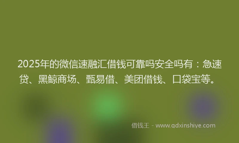 2025年的微信速融汇借钱可靠吗安全吗有：急速贷、黑鲸商场、甄易借、美团借钱、口袋宝等。
