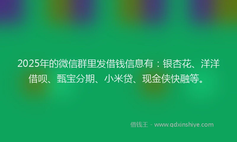 2025年的微信群里发借钱信息有：银杏花、洋洋借呗、甄宝分期、小米贷、现金侠快融等。