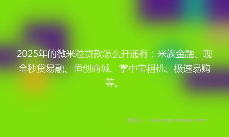 2025年的微米粒贷款怎么开通有：米族金融、现金秒贷易融、恒创商城、掌中宝租机、极速易购等。