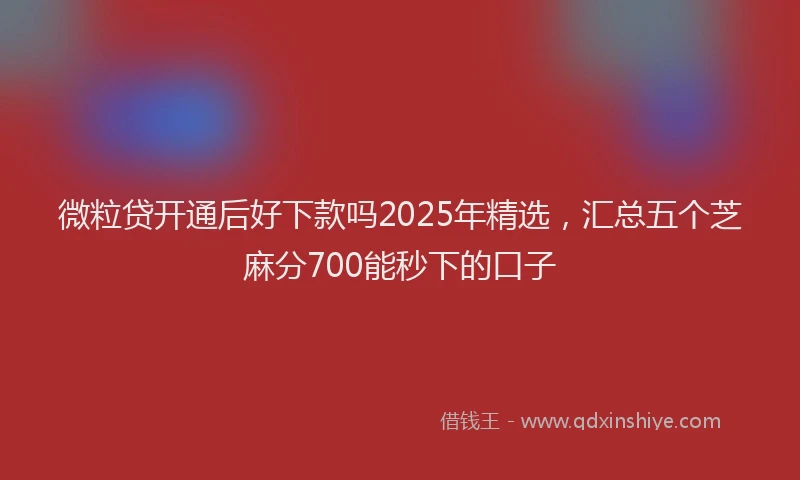 微粒贷开通后好下款吗2025年精选，汇总五个芝麻分700能秒下的口子