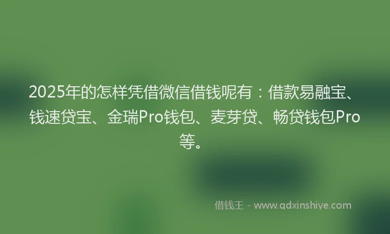 2025年的怎样凭借微信借钱呢有：借款易融宝、钱速贷宝、金瑞Pro钱包、麦芽贷、畅贷钱包Pro等。
