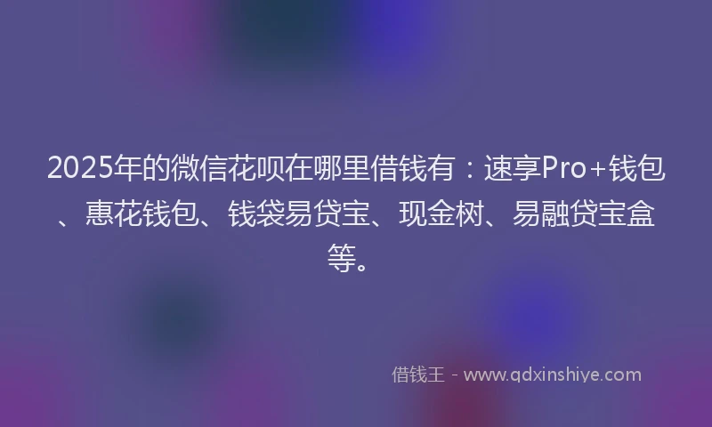 2025年的微信花呗在哪里借钱有：速享Pro+钱包、惠花钱包、钱袋易贷宝、现金树、易融贷宝盒等。