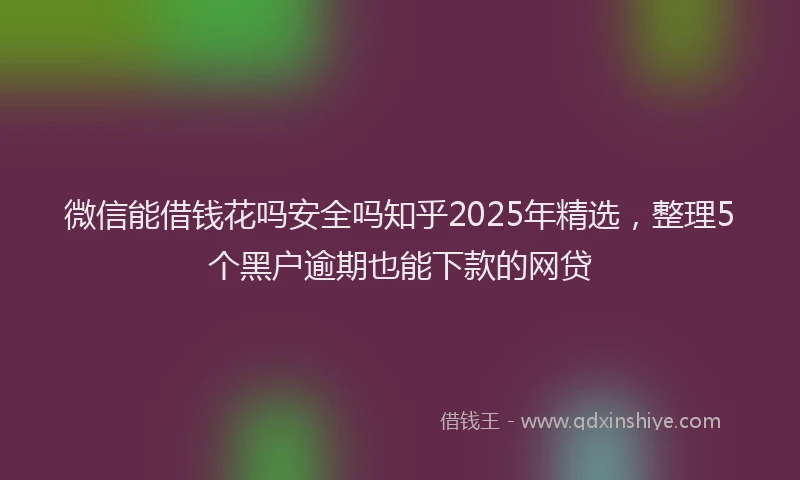 微信能借钱花吗安全吗知乎2025年精选，整理5个黑户逾期也能下款的网贷